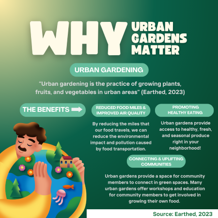 Figure 4: Why Urban Gardens Matter. Image Source: Personal Image