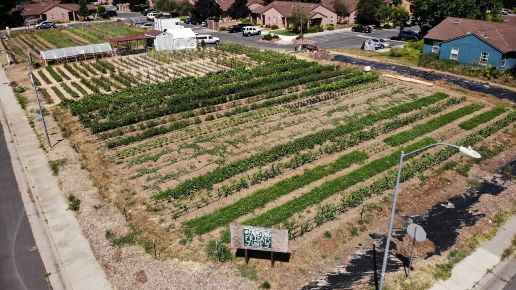 Established in 2018, We Grow Urban Farm has been growing high-quality seasonal vegetables for local communities. Their mission is to inspire the next generation of farmers of color, all while allowing for a deeper connection to the land and the natural world (We Grow Urban Farm)